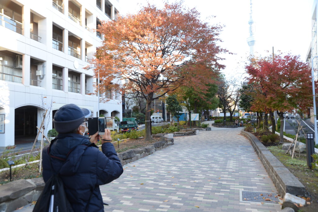 東京の下町をのんびり巡る自転車プライベートツアー 一日一組限定 Tokyo Backstreets Bike Tour