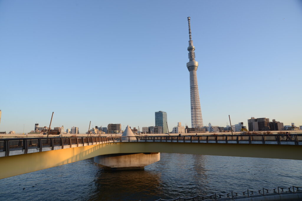 自転車 サイクリング 街歩き 散策 東京のツアー プライベートツアー 東京 下町 日帰り 散歩 ガイド アウトドア 魅力いっぱい 江戸散歩 歴史 毎日 歴史街道 江戸 江戸っ子 商店街 路地裏 隅田川 桜 花見 ソメイヨシノ 東京スカイツリー