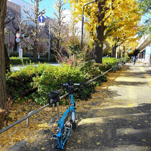自転車　裏路地　Tokyo Backstreets Bike Tour　ツアー サイクリング　東京　下町　江戸　町歩き　クルーズ　紅葉 Brompton
