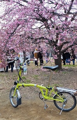 自転車　裏路地　Tokyo Backstreets Bike Tour　ツアー サイクリング　ポタリング　東京　下町　江戸　町歩き　クルーズ ブロンプトン　Brompton　代々木公園　レンタサイクル